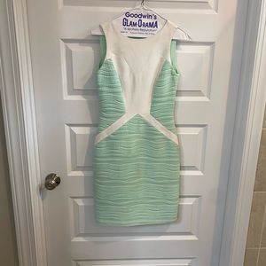Antonio Melani Mint Green and White Dress